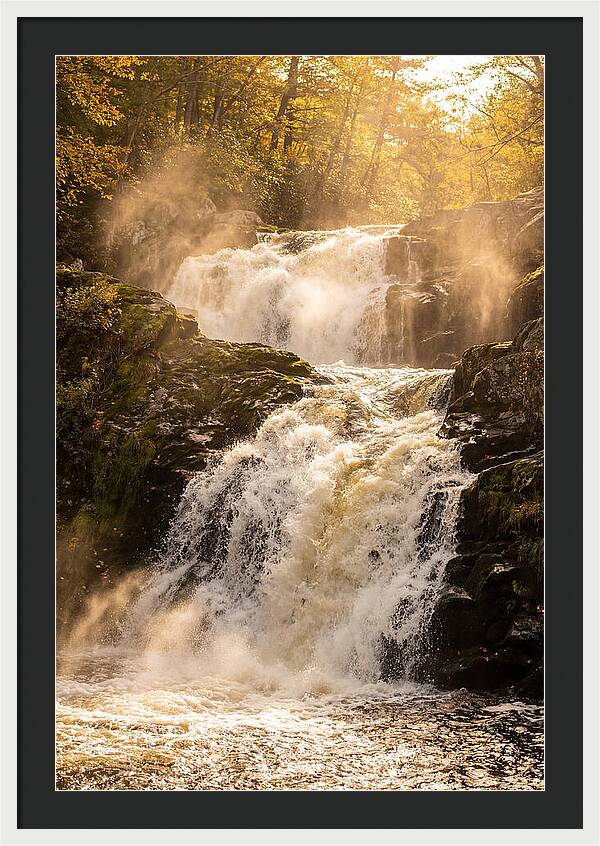 Chapman Falls Serenity