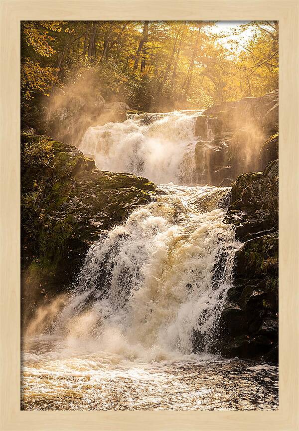 Chapman Falls Serenity