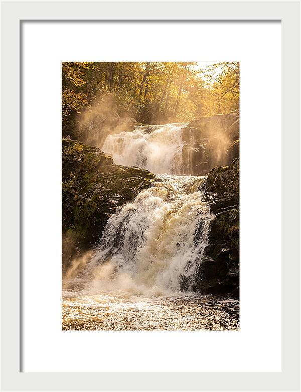 Chapman Falls Serenity