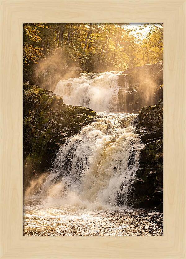 Chapman Falls Serenity