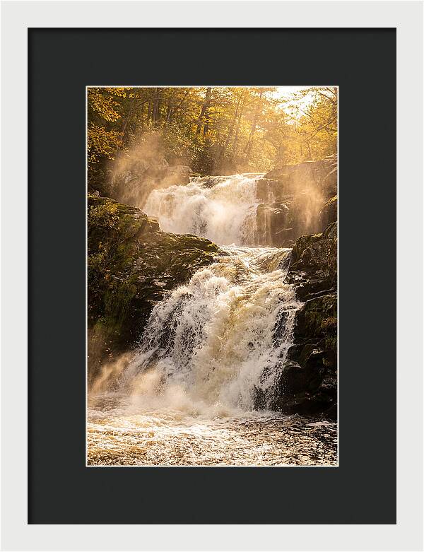 Chapman Falls Serenity
