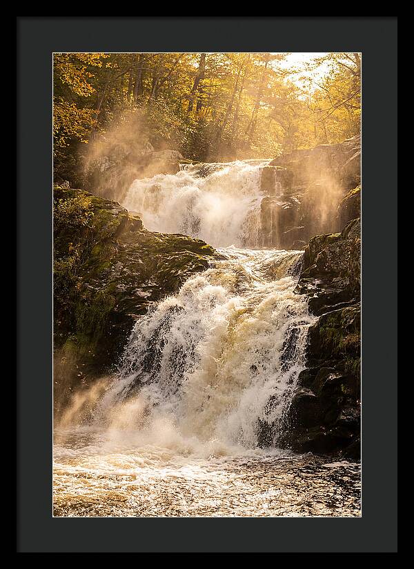 Chapman Falls Serenity