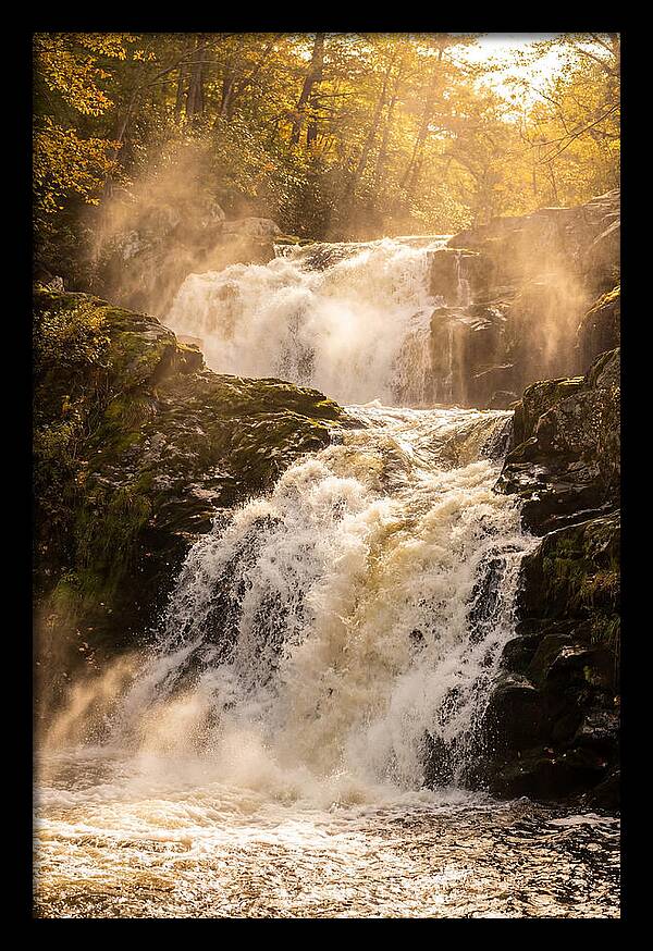 Chapman Falls Serenity