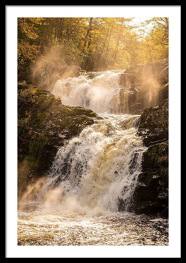 Chapman Falls Serenity