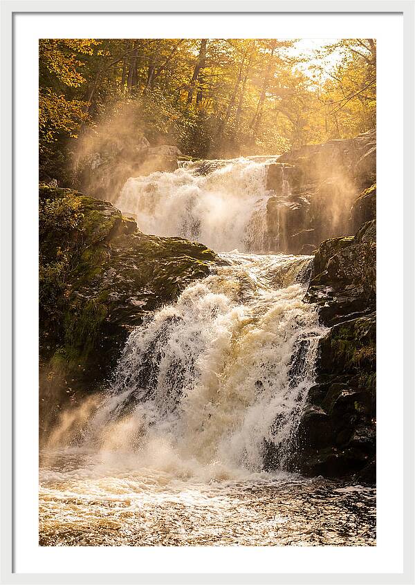 Chapman Falls Serenity