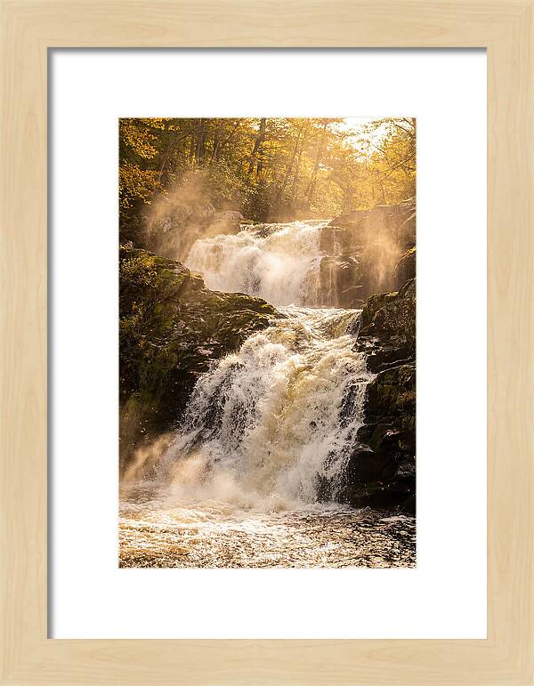 Chapman Falls Serenity