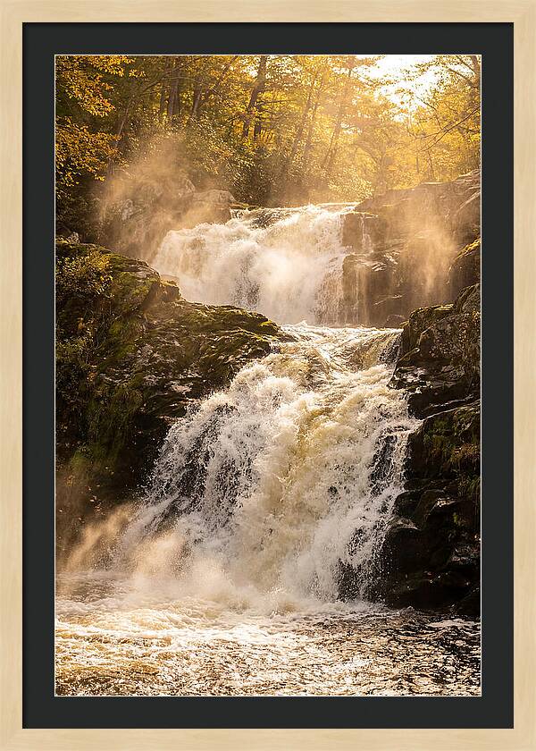 Chapman Falls Serenity
