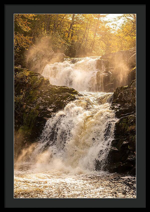 Chapman Falls Serenity