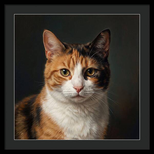 Charming Calico Cat
