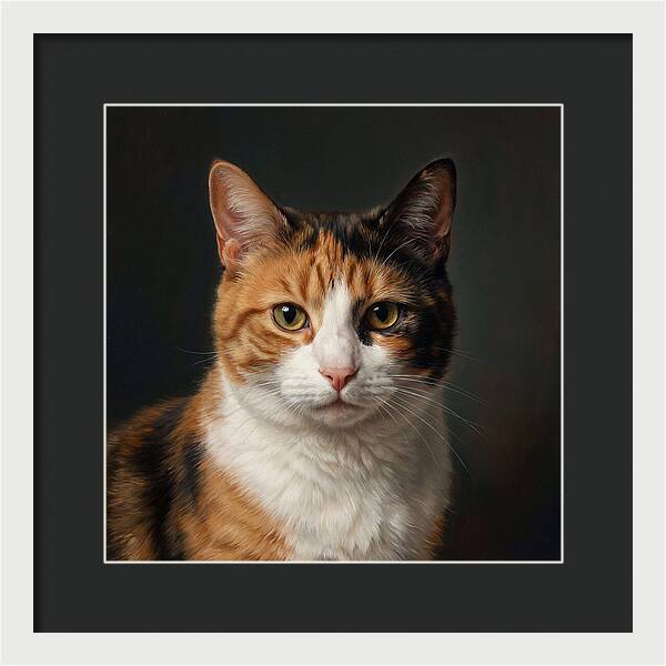 Charming Calico Cat