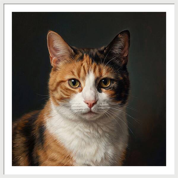 Charming Calico Cat