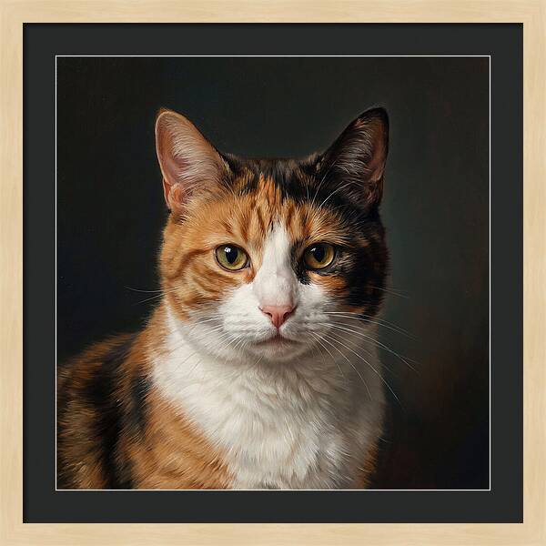 Charming Calico Cat