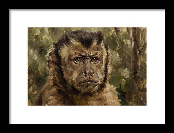 Charming Capuchin Monkey Closeup