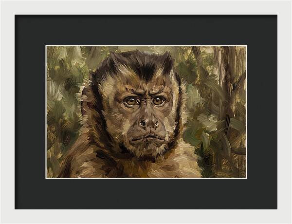 Charming Capuchin Monkey Closeup