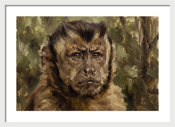 Charming Capuchin Monkey Closeup