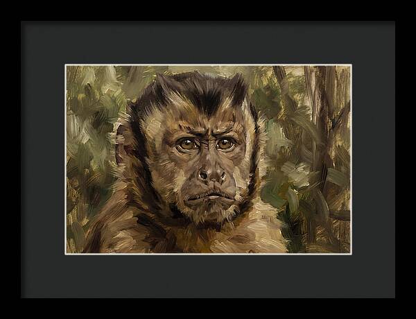 Charming Capuchin Monkey Closeup
