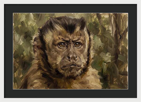 Charming Capuchin Monkey Closeup