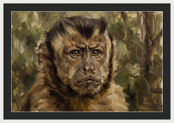 Charming Capuchin Monkey Closeup