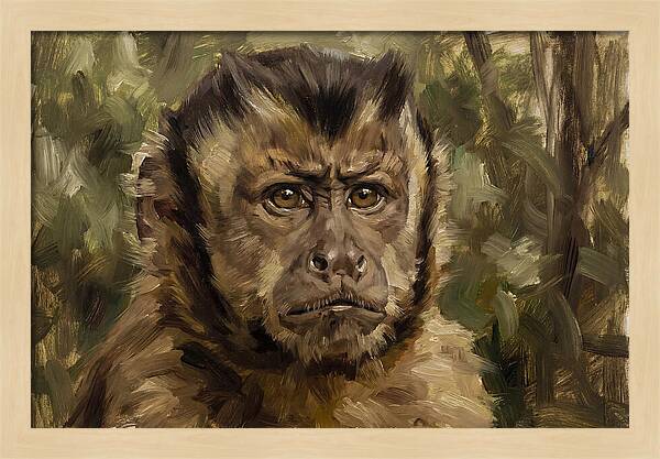 Charming Capuchin Monkey Closeup