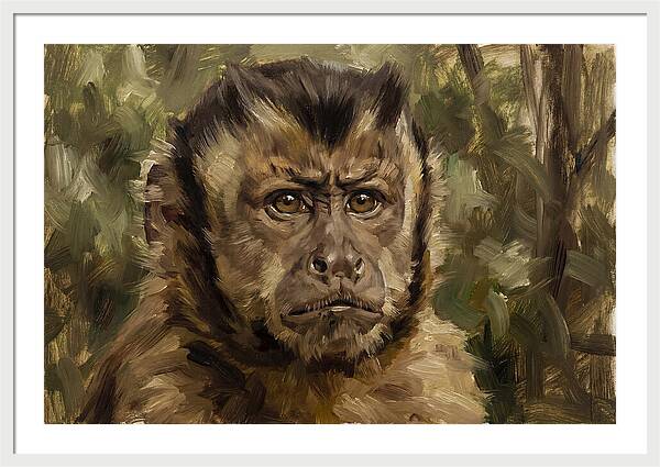 Charming Capuchin Monkey Closeup