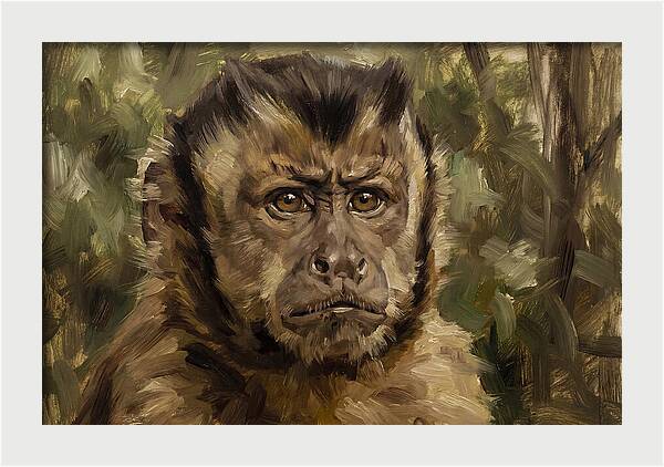 Charming Capuchin Monkey Closeup
