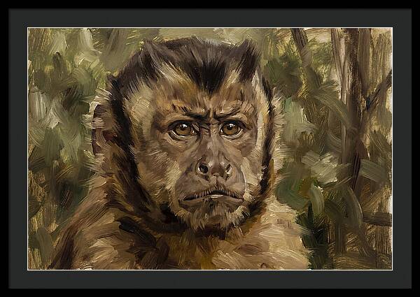 Charming Capuchin Monkey Closeup