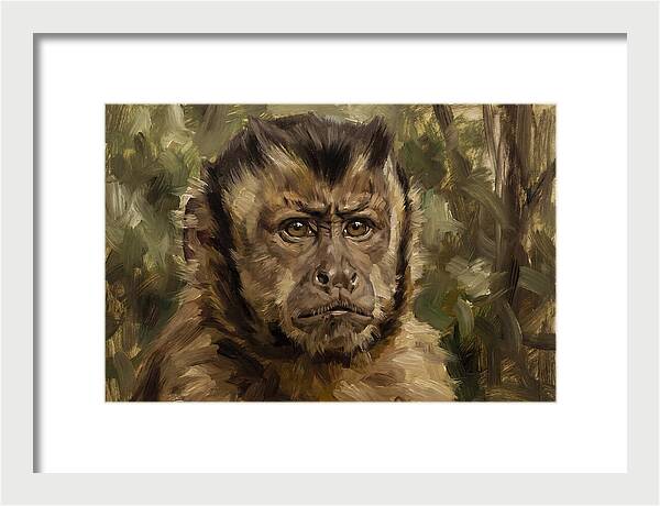 Charming Capuchin Monkey Closeup