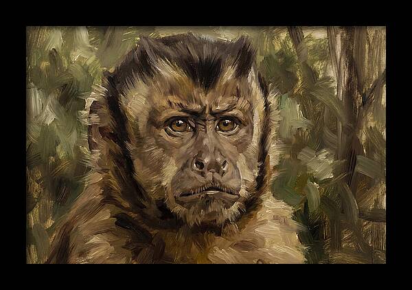 Charming Capuchin Monkey Closeup
