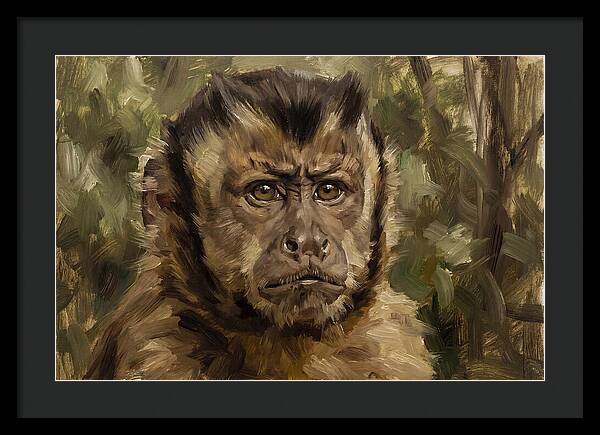 Charming Capuchin Monkey Closeup