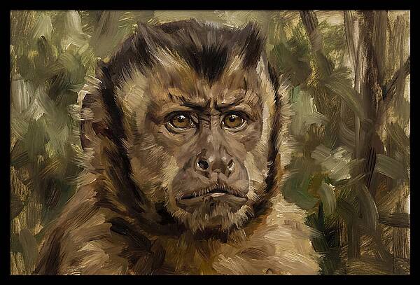 Charming Capuchin Monkey Closeup