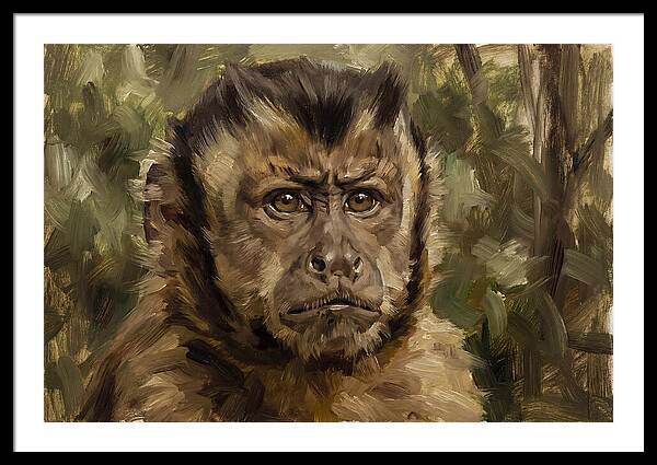 Charming Capuchin Monkey Closeup