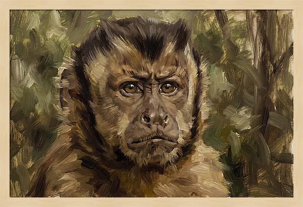 Charming Capuchin Monkey Closeup
