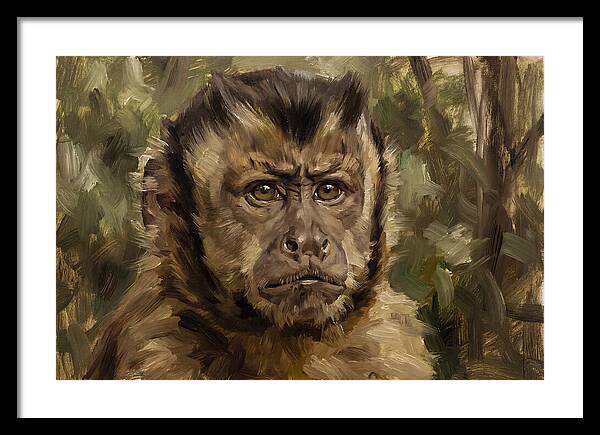Charming Capuchin Monkey Closeup