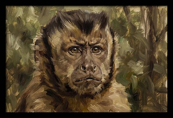 Charming Capuchin Monkey Closeup