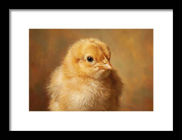 Charming Chick Portrait