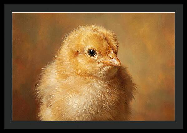 Charming Chick Portrait