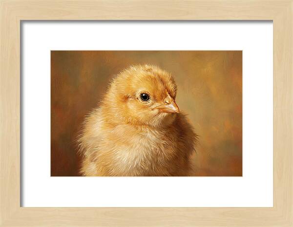 Charming Chick Portrait