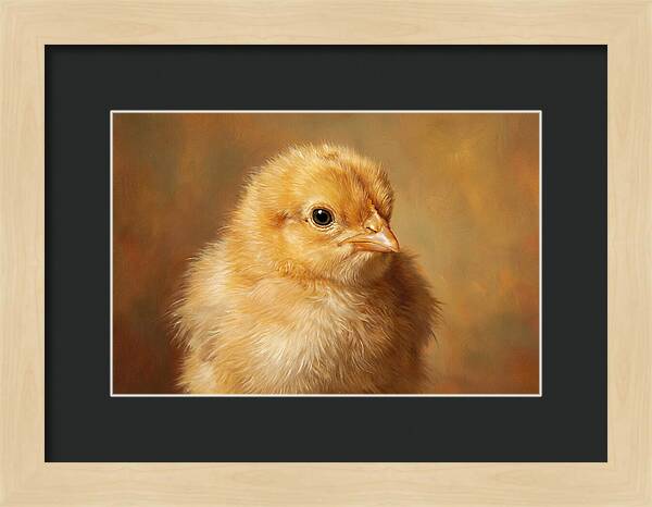 Charming Chick Portrait