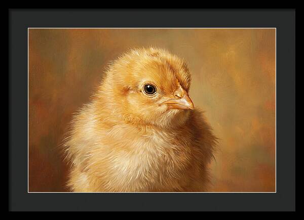 Charming Chick Portrait