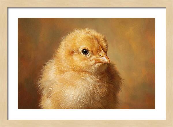 Charming Chick Portrait