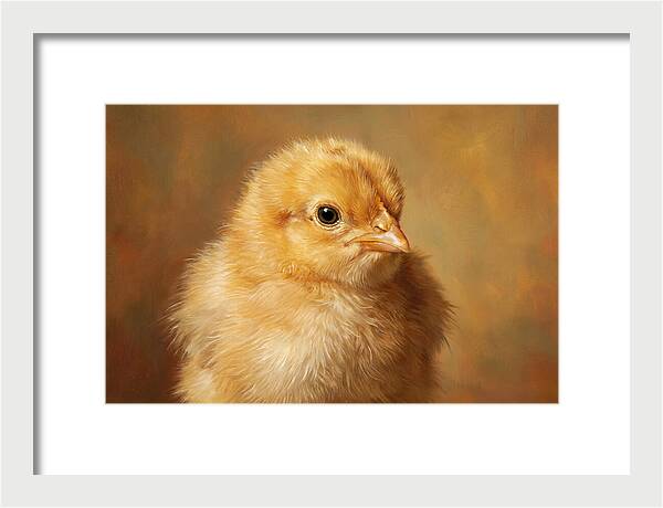 Charming Chick Portrait