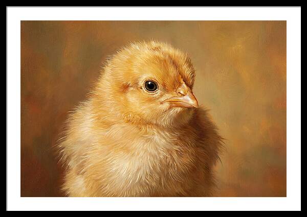 Charming Chick Portrait