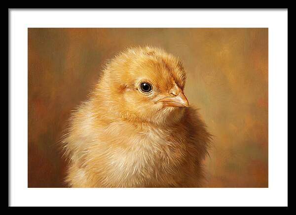 Charming Chick Portrait