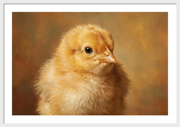 Charming Chick Portrait