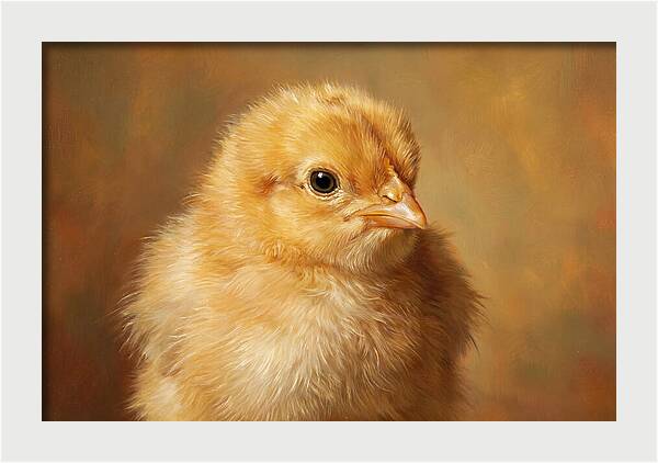 Charming Chick Portrait