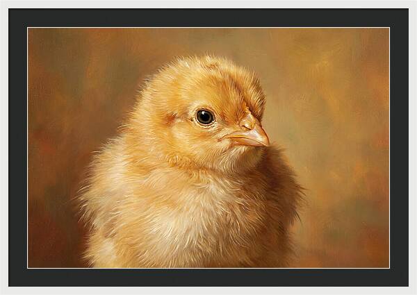 Charming Chick Portrait
