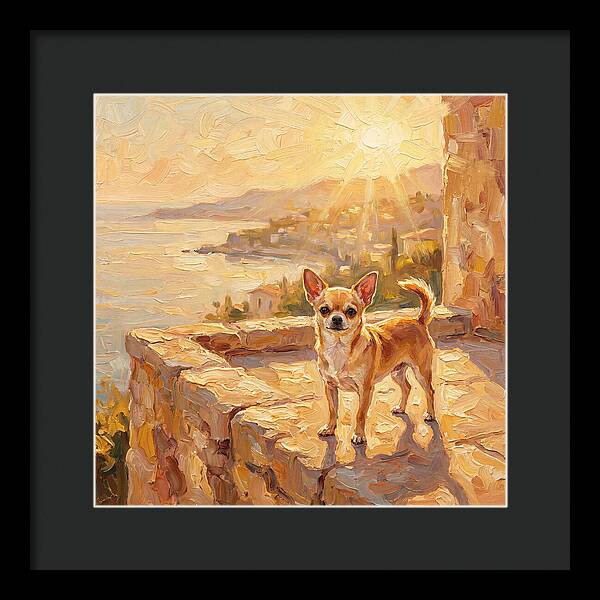 Charming Chihuahua Overlooking Mediterranean