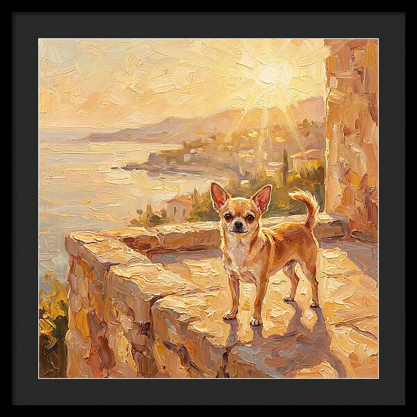 Charming Chihuahua Overlooking Mediterranean