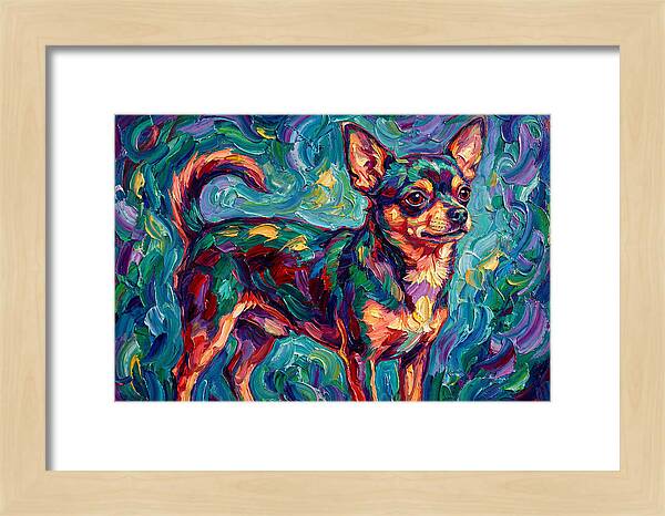 Charming Chihuahua Portrait