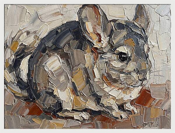 Charming Chinchilla Portrait